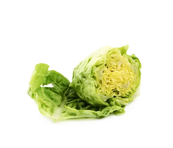 Juweeltje salat geïsoleerd — Stockfoto