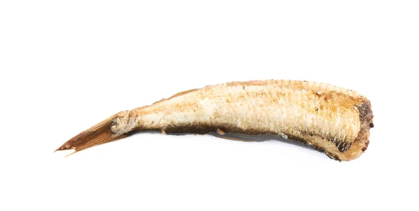 고립 된 단일 통조림된 기름이 바른된 물고기 — 스톡 사진