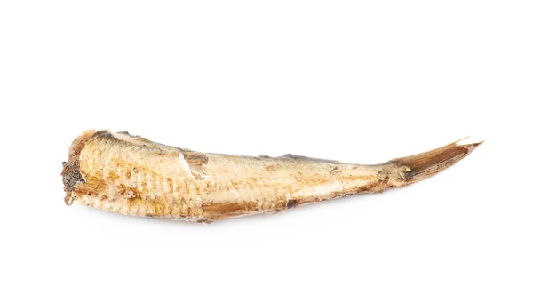 고립 된 단일 통조림된 기름이 바른된 물고기 — 스톡 사진