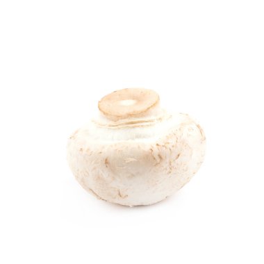 Raw champignon composition