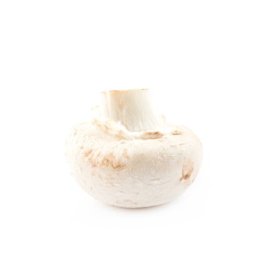 Raw champignon composition