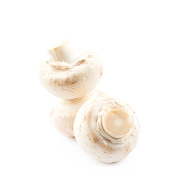 Raw champignon composition