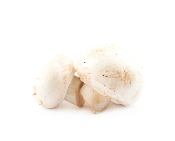 Raw champignon composition — Stockfoto