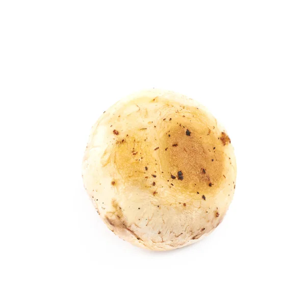 Composição de champignon frito — Fotografia de Stock