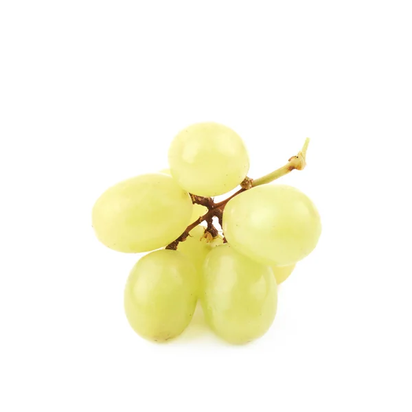 Clúster de uvas aislado — Foto de Stock