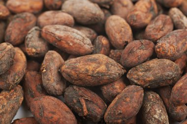 Kakao çekirdeği arka plan kompozisyon