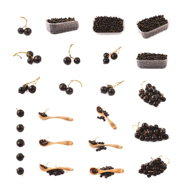 Reihe von Kompositionen schwarzer Johannisbeeren — Stockfoto