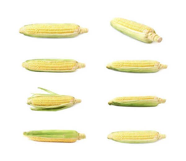 Ear of corn corncob isolated