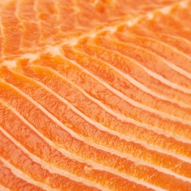 Somon balık parçası yakın çekim