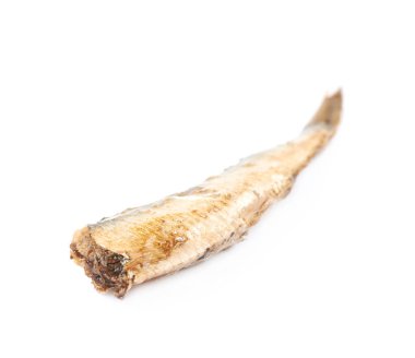 Tek konserve yağlanmış çaça izole