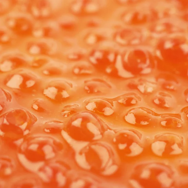 레드 캐 비어 코팅 표면 — 스톡 사진