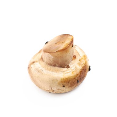 Fried champignon composition