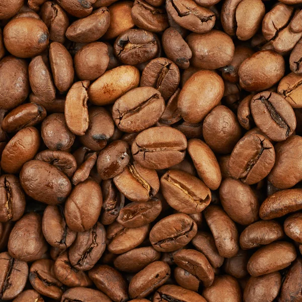 Surface coated with the coffee beans — Stock Photo, Image