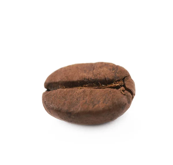 Single coffee bean isolated — Stock Photo, Image