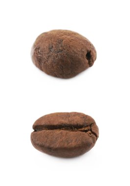 Tek kahve çekirdeği izole