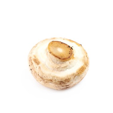 Fried champignon composition