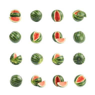 dilimli karpuz izole