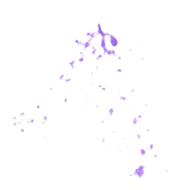 Sıvı sıçrama izole hareket halinde düşer