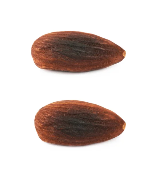 Один жареный миндаль орех изолирован — стоковое фото