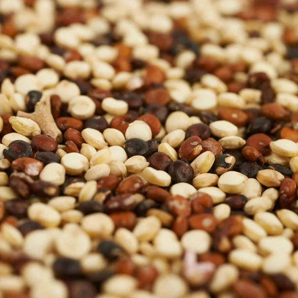 Superfície revestida com as sementes de quinoa — Fotografia de Stock