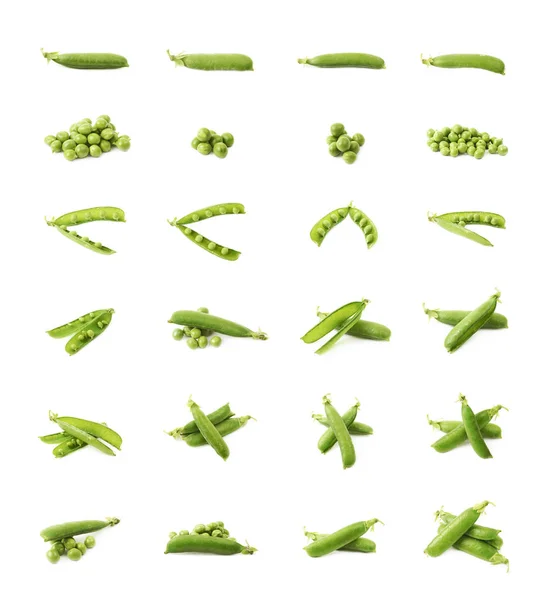 Green pea bean isolated — Stock Photo, Image