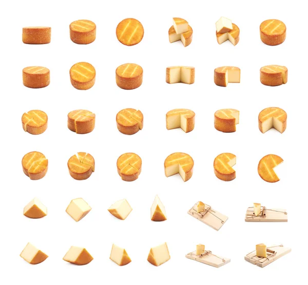 Set aus mehreren Käsekompositionen — Stockfoto
