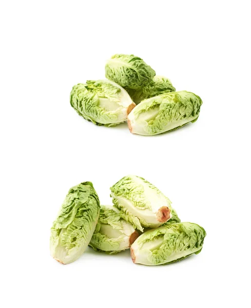작은 보석 salat 절연 — 스톡 사진