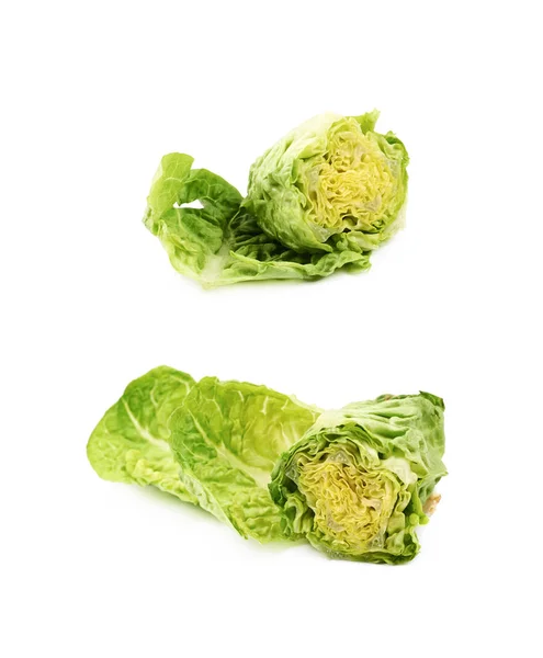 Juweeltje salat geïsoleerd — Stockfoto