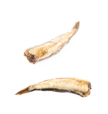 Tek konserve yağlanmış çaça izole