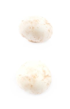 Raw champignon composition