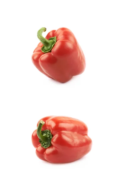 Rode paprika samenstelling geïsoleerd — Stockfoto