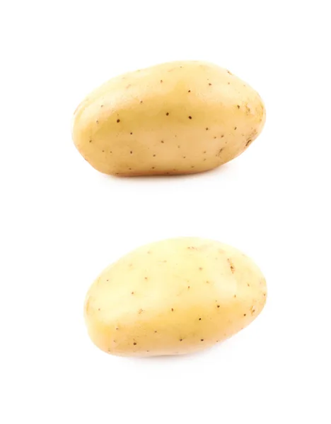 Kompozycja surowego ziemniaka na białym tle — Zdjęcie stockowe
