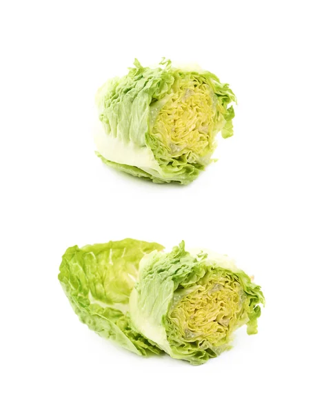Salat pequena gema isolado — Fotografia de Stock