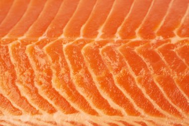 Somon balık parçası yakın çekim