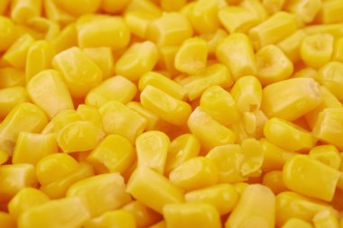 Konserve mısır ile kaplı yüzey