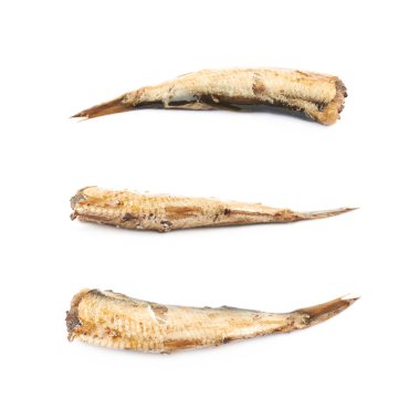 Tek konserve yağlanmış çaça izole