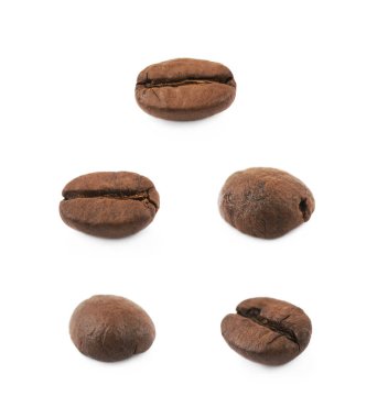 Tek kahve çekirdeği izole