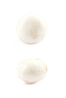 Raw champignon composition