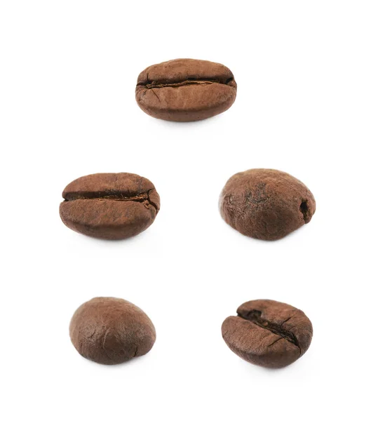 Enkele koffieboon geïsoleerd — Stockfoto