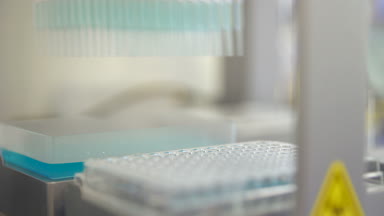 Dna, makine işlemi otomatik olarak analiz