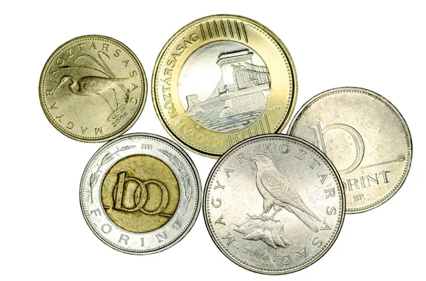 Verschiedene Ungarische Forint Münzen — Stockfoto