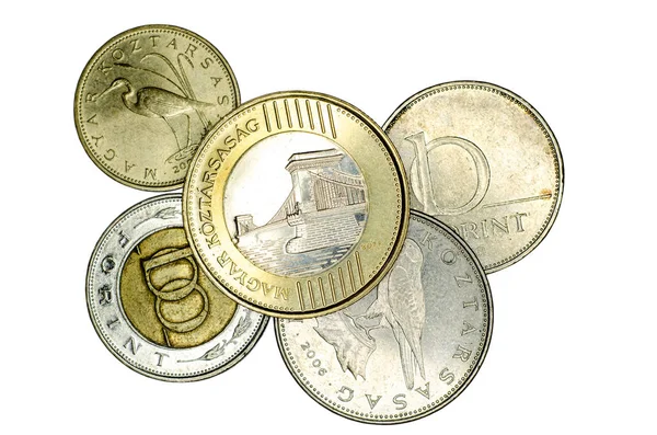 Φόριντ Ουγγαρίας Διαφορετικά Νομίσματα — Φωτογραφία Αρχείου