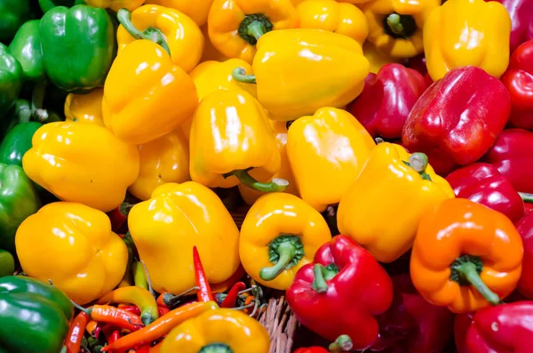Barevné Zelené Červené Žluté Chili Pepper — Stock fotografie