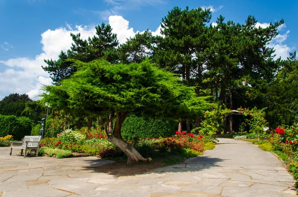 Garden in the park Westfalenpark Dortmund — Stock Photo, Image