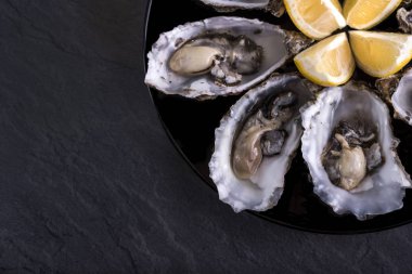 Gri arka planda limon ile istiridye plakası. İstiridye ve limon ile servis edilir. Taze istiridye yakın üst görünüm. Sağlıklı deniz ürünleri. Restoranda şampanyalı Oyster akşam yemeği. Gurme yemek. Deniz ürünleri