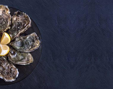 Koyu gri arka planda siyah plaka üzerinde limon ile kapalı istiridye. Taze Istiridye yakın üst görünüm. Sağlıklı deniz ürünleri. Restoranda şampanyalı Oyster akşam yemeği. Lüks gurme yemekleri. 