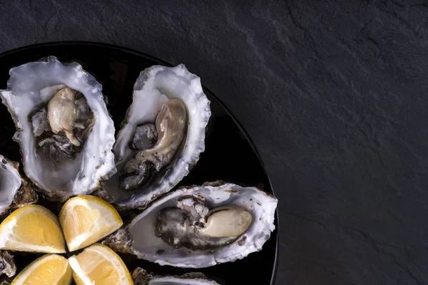 Oysters plate with lemon on grey background. Served table with oysters and lemon. Fresh oysters close-up top view. Healthy sea food. Oyster dinner with champagne in restaurant. Gourmet food. Sea food