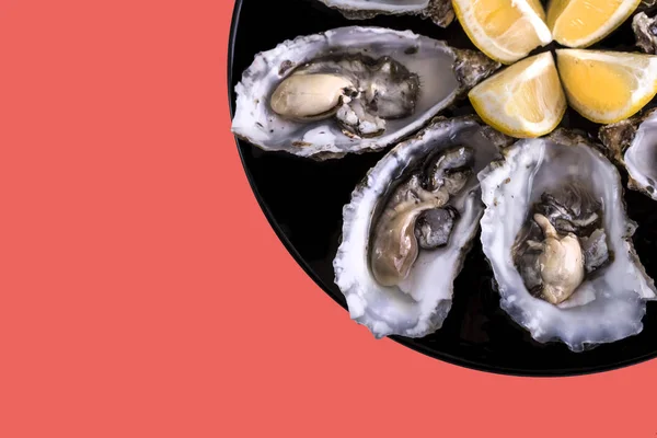 Oysters plate with lemon on grey background. Served table with oysters and lemon. Fresh oysters close-up top view. Healthy sea food. Oyster dinner with champagne in restaurant. Gourmet food. Sea food