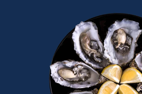 Oysters plate with lemon on grey background. Served table with oysters and lemon. Fresh oysters close-up top view. Healthy sea food. Oyster dinner with champagne in restaurant. Gourmet food. Sea food
