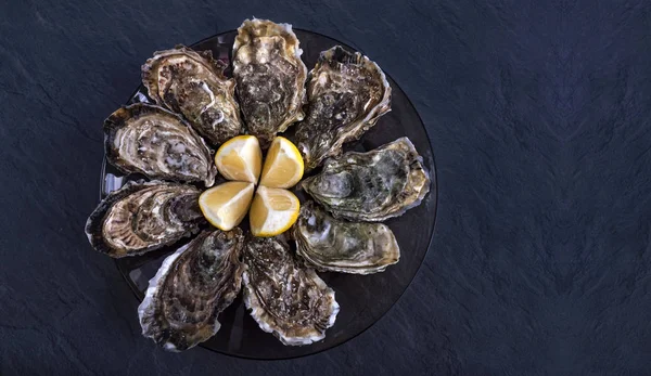 在深灰色背景的黑板上用柠檬的封闭牡蛎 新鲜的牡蛎特写顶视图 健康的海食 在餐厅享用含香槟的牡蛎晚餐 豪华美食 — 图库照片